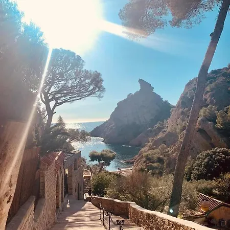Superbe T3 De Standing En Rdc Avec Grande Terrasse La Ciotat